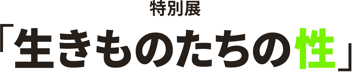 特別展「生きものたちの性」