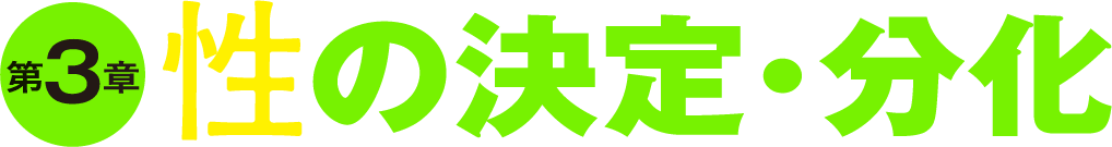 第3章 性の決定・分化
