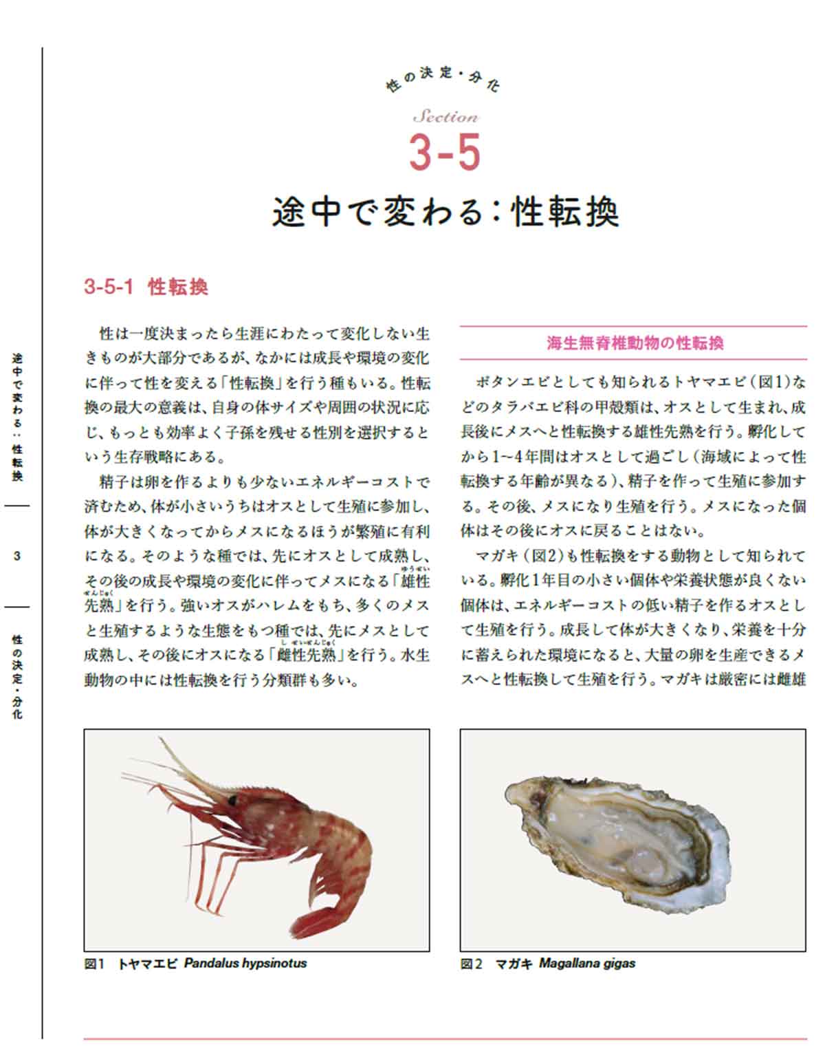 図録