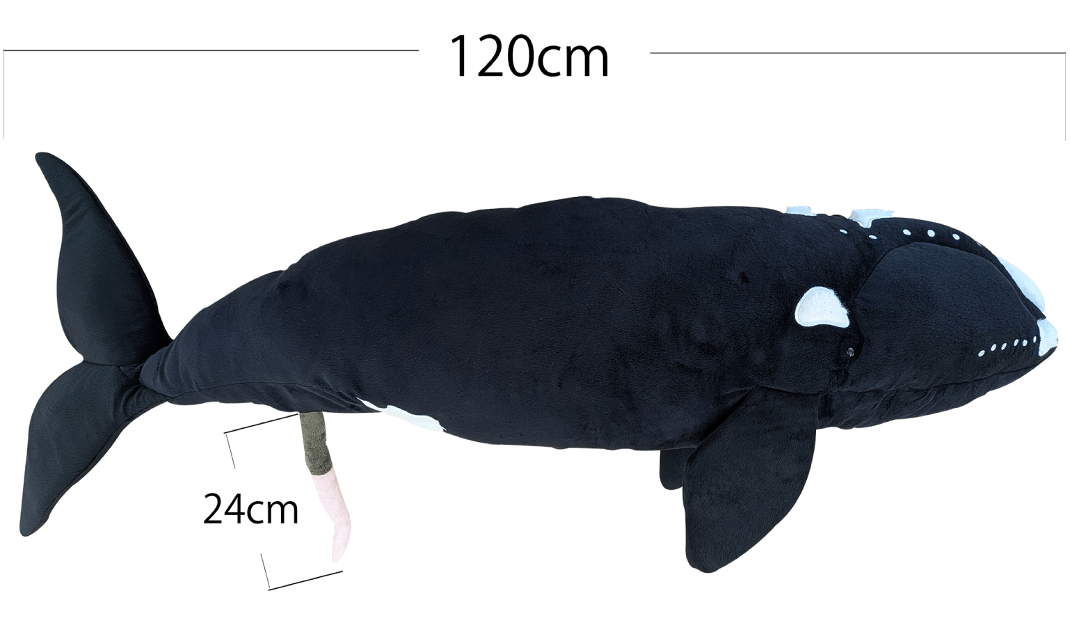 セミクジラBIGぬいぐるみ