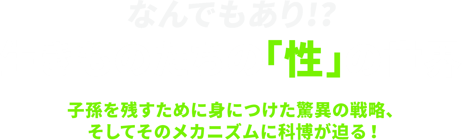 なんでもあり!? 生きものたちの「性」の世界子孫を残すために身につけた驚異の戦略、そしてそのメカニズムに科博が迫る!