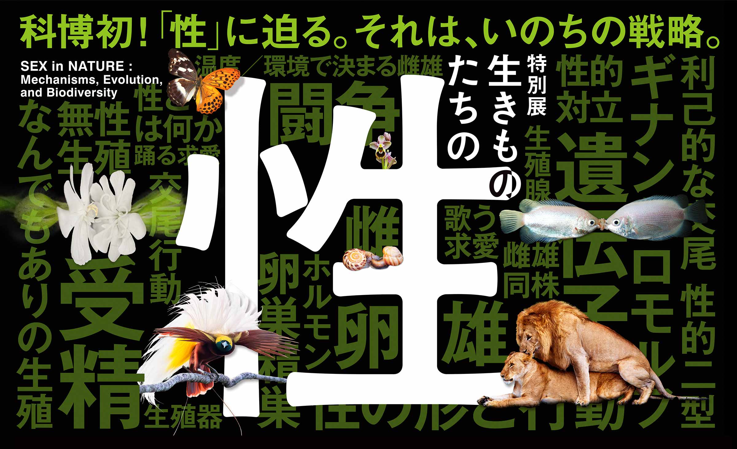 特別展「生きものたちの性」科博初！「性」に迫る。それは、命の戦略。