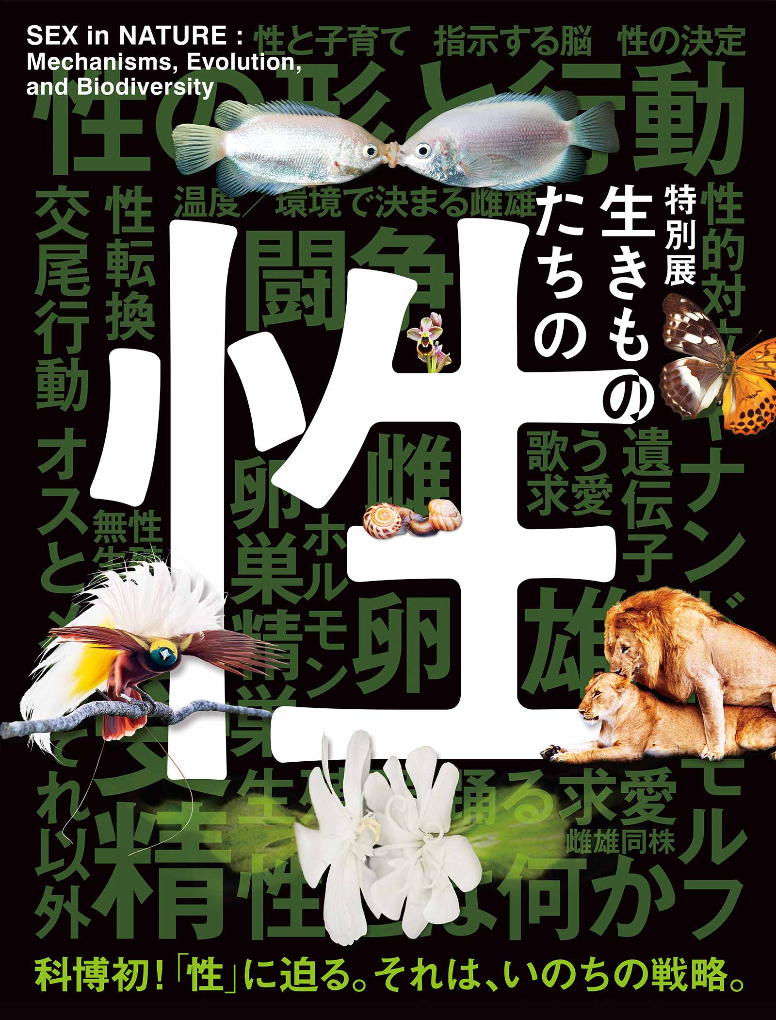 特別展「生きものたちの性」科博初！「性」に迫る。それは、命の戦略。