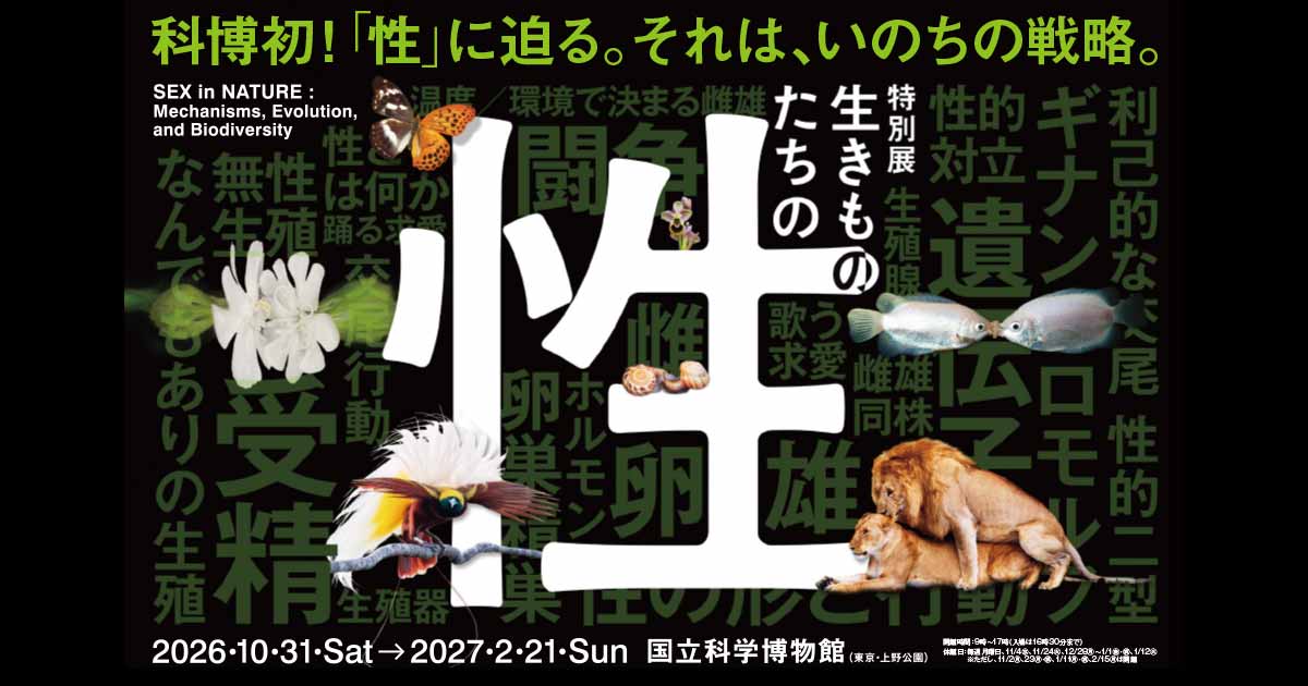 チケット | 特別展「生きものたちの性」 ＜オフィシャルサイト＞